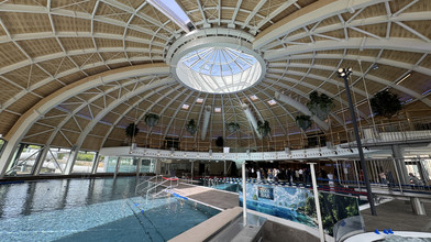 Große Freude in Idstein: Tournesol nach Brand wieder