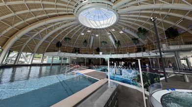 Große Freude in Idstein: Tournesol nach Brand wieder