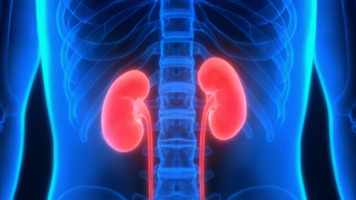 Organspende: Das läuft schief in Deutschland