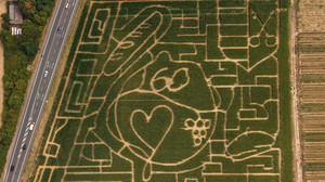 Maislabyrinth in Groß-Umstadt: Das ist dieses Jahr das Motiv
