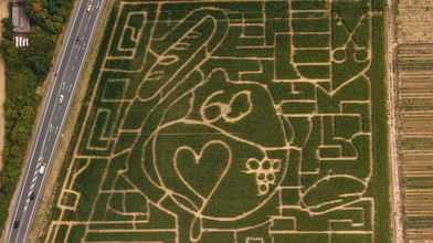 Maislabyrinth in Groß-Umstadt: Das ist dieses Jahr das Motiv