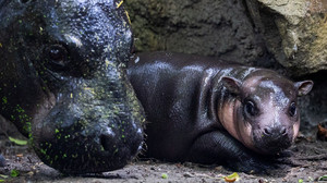 Bilder des Tages