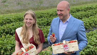 Erdbeersaison 2026 in Hessen gestartet: Auftakt mit Krönung