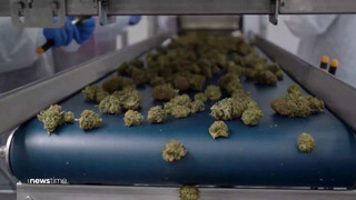 Kinderärzte wollen Cannabis-Legalisierung stoppen