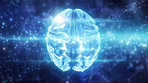 Gehirn durchläuft im Laufe des Lebens fünf große Phasen