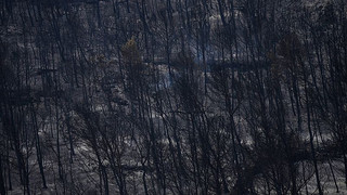 Südfrankreich: Schnell ausbreitender Waldbrand breitet sich aus