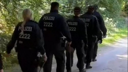 Grausiger Fund in Glücksburg: Menschlicher Torso in Waldstück entdeckt