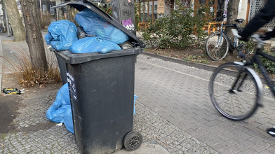 Stadtwette: Kassel räumt auf - hier gibts die Mitmachstellen