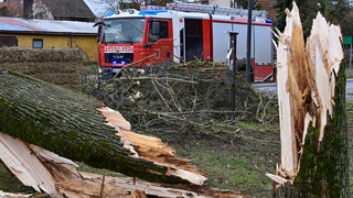 Gewitter-Sturm: Feuerwehr-Einsätze in Darmstadt, Süd- und Rheinhessen