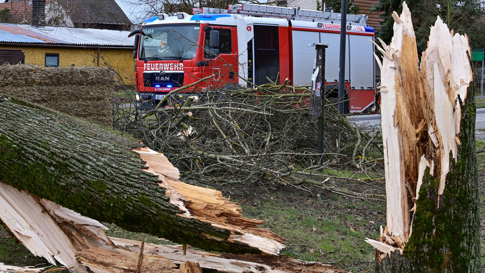 Feuerwehr Sturm Baum abgeknickt Sturmschäden