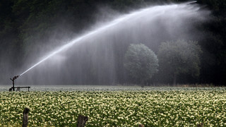 Verstecktes Wasser: So viel verbrauchst du wirklich