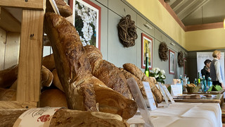 Die Winzer öffnen ihre Weinkeller zu Rheingauer Schlemmerwochen