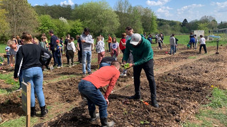 Kids züchten Salat und Kohlrabi: Wiesbadener bauen Schulgemüse an