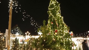 7 Kilometer Kabel, 120.000 Lichter: Mindens spektakulärstes Weihnachtshaus