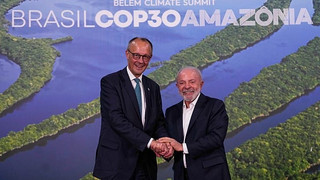 Milliardenfonds "Tropical Forest Forever“: Merz kündigt Beitrag Deutschlands an