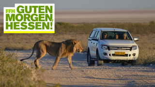 Was hat Hit Radio FFH mit Hitradio Namibia zu tun?