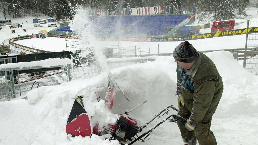 In den letzten Jahren haben die Free Willis bereits tolle Arbeit geleistet.
