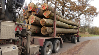 Viel zu schwer: Polizei stoppt LKW auf A4 bei Kirchheim