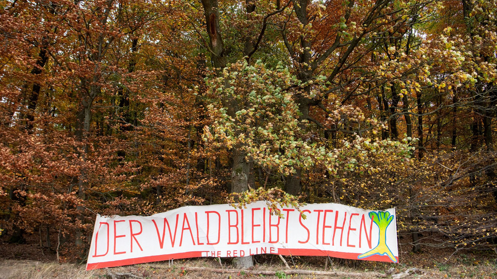 Situation im Dannenröder Forst