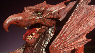 Drachen in Darmstadt: Tolle neue Ausstellung im Landesmuseum