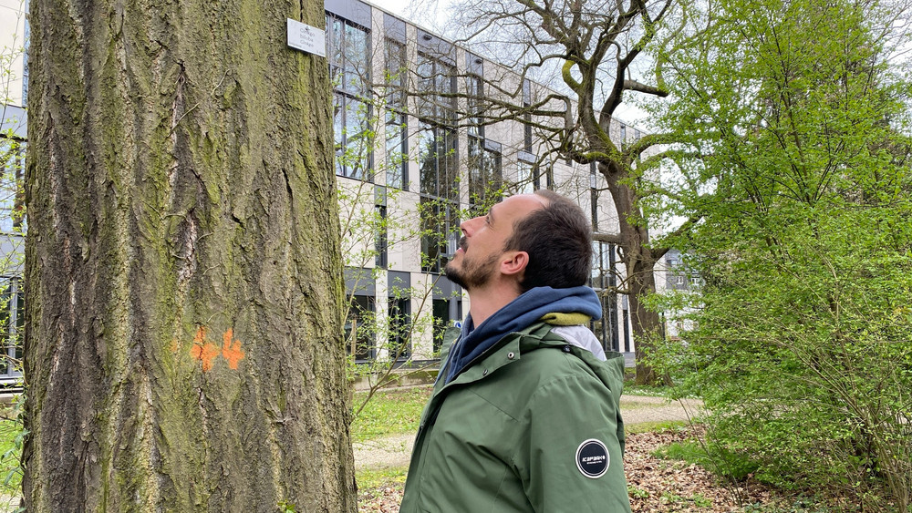 Der Leiter des Botanischen Gartens, Alex Ruppel, zeigt unserer Reporterin den Baum, der in der Filmproduktion im Mittelpunkt stehen wird.
