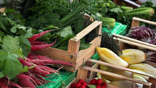 Schwieriges Jahr für Bio-Fachhandel - Umsatz hängt an Inflation