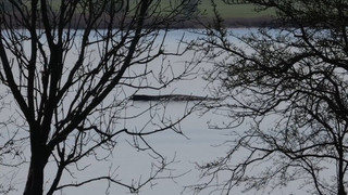 Timmy lebt: Buckelwal kämpft sich durch weitere Nacht