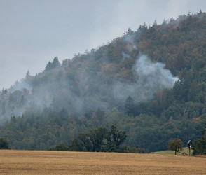 Großeinsätze in Bayern: Feuerwehr kämpft gegen Waldbrände