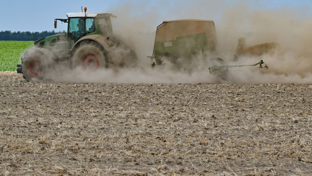 Trockenheit in der Landwirtschaft