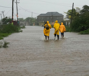 Sturmfolgen in Jamaika: Behörden warnen vor Krokodilen
