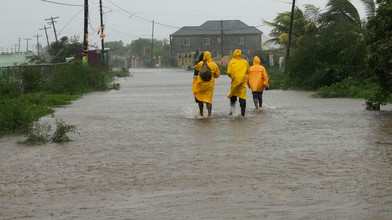 Sturmfolgen in Jamaika: Behörden warnen vor Krokodilen