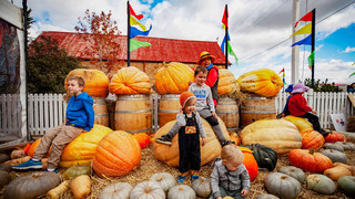 Kürbis- und Herbstfeste in Hessen am Wochenende