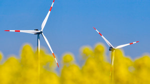 Regierungspräsidium genehmigt Windräder in Philippsthal