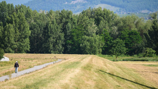 Hochwasserschutz: "Deichläufer" in Bodenheim gesucht