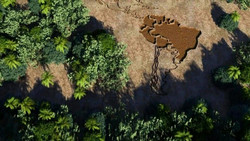 Das Amazonas-Gebiet – bedrohtes Naturwunder