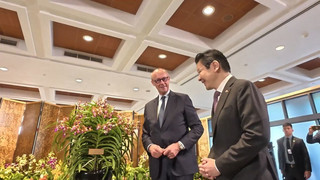 «Vanda Friedrich Merz» - Singapur benennt Orchidee nach Kanzler