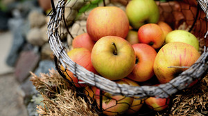 Äpfel in Hessen selber pflücken: Die schönsten Plantagen