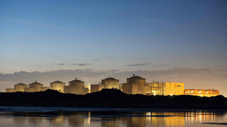 Quallenschwarm stoppt Frankreichs größtes Atomkraftwerk