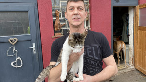 Mit dem Zug von Hünfeld bis Hann.Münden: Katze Wanda auf "Wandaschaft"