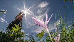 Naturtour am Reinheimer Teich