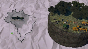 Videografik: Entwaldung