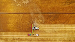 Europas Düngemittelkrise: Hohe Preise wegen Iran-Krieg, abhängig von Russland