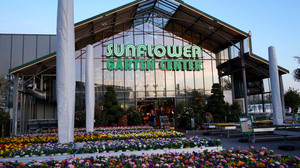 Überraschung, FFH! 1000-€-Gutschein Sunflower Gartencenter