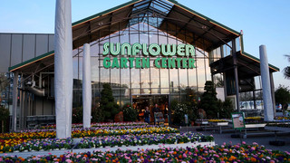 Überraschung, FFH! 1000-€-Gutschein Sunflower Gartencenter