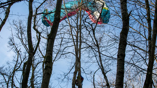 Rettungsaktion in Abtsroda: Gleitschirmflieger aus Baumkrone befreit