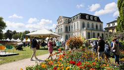 Gartenfest in Calden: Pflanzen, Deko und Familien-Programm
