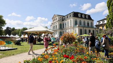 Gartenfest in Calden: Pflanzen, Deko und Familien-Programm