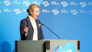 AfD macht Wahlkampf in Neu-Isenburg: 9.000 Menschen protestieren