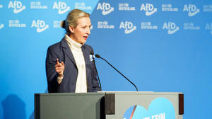 AfD macht Wahlkampf in Neu-Isenburg: 9.000 Menschen protestieren