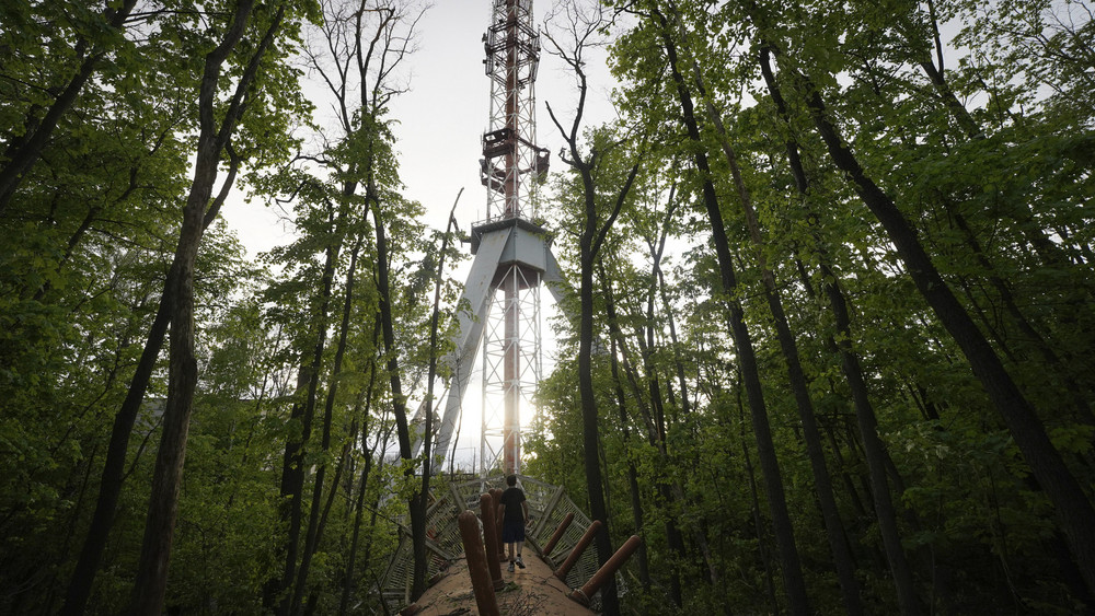 Der Fernsehturm im Wald.